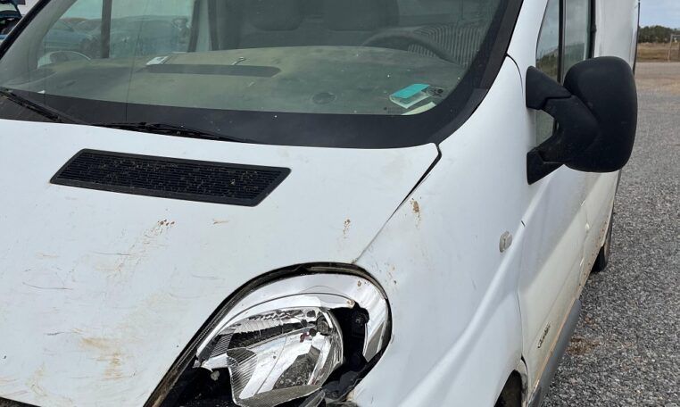 Despiece Renault Trafic 115DCI