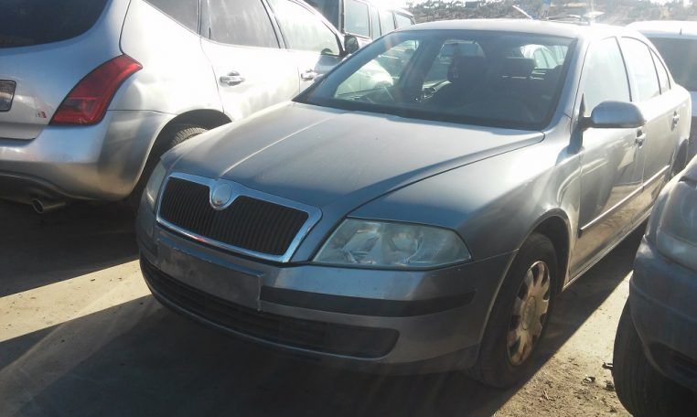 Despiece Skoda Octavia TDI 2004