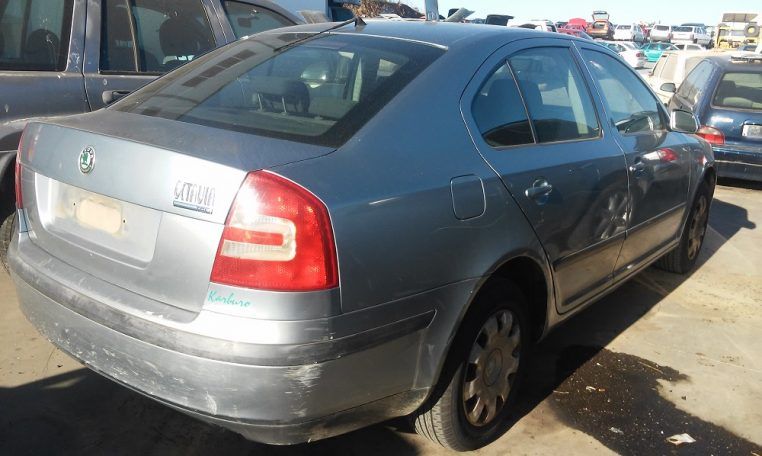 Despiece Skoda Octavia TDI 2004