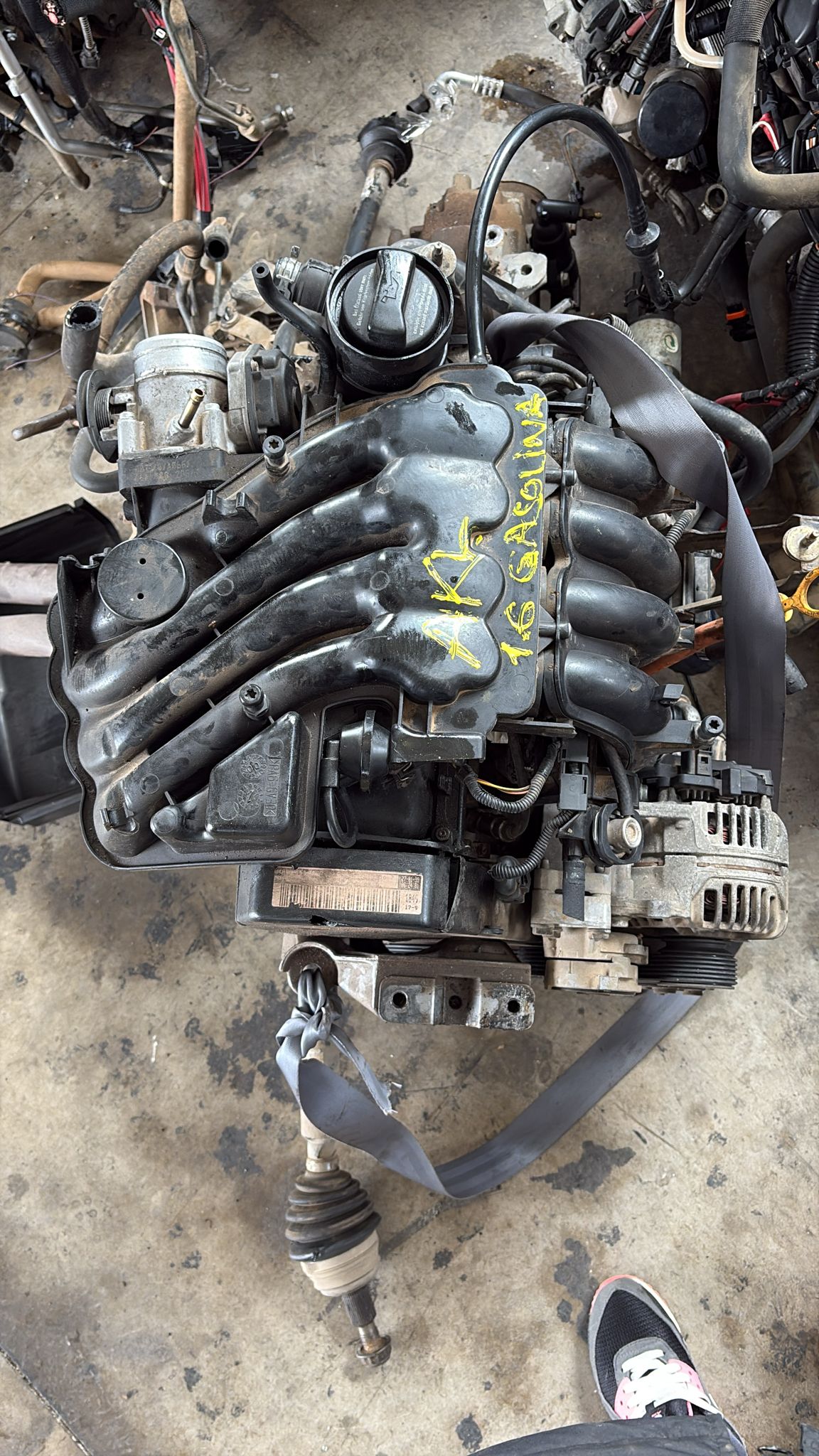 Motor Grupo VW 1.6 Gasolina