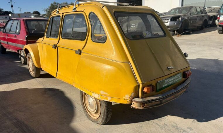 Despiece Citroen Dyane 6