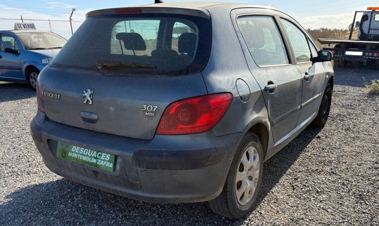 Despiece Peugeot 307 1.6 HDI