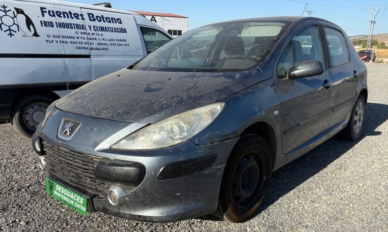 Despiece Peugeot 307 1.6 HDI