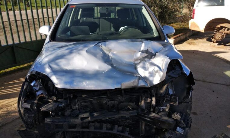 Despiece Volkswagen Golf Plus 1.9TDI del 2007