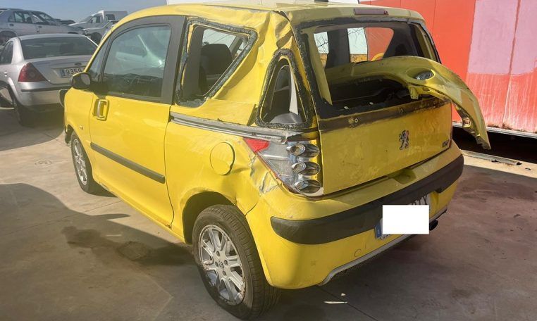 Despiece Peugeot 1007