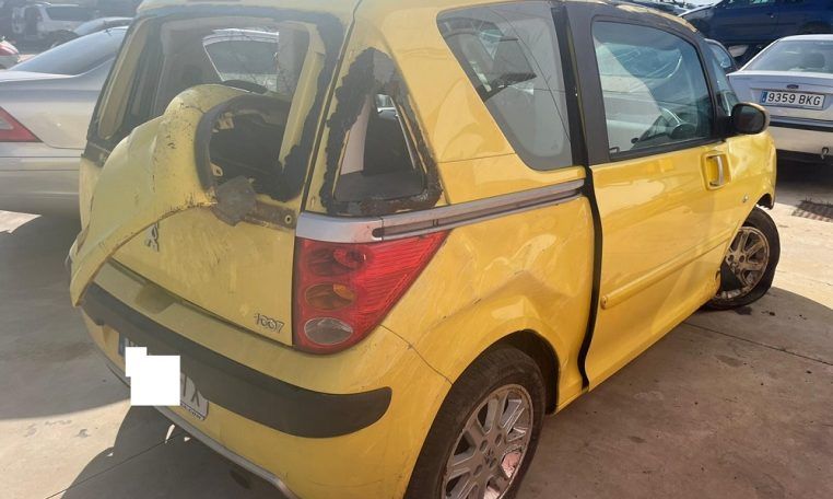Despiece Peugeot 1007