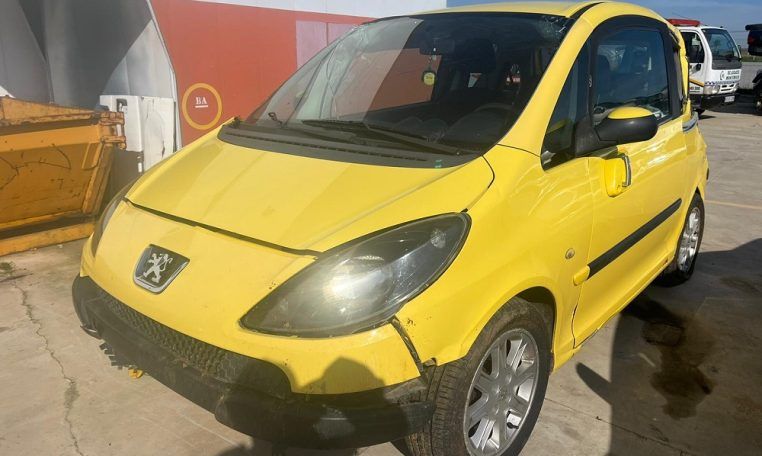 Despiece Peugeot 1007
