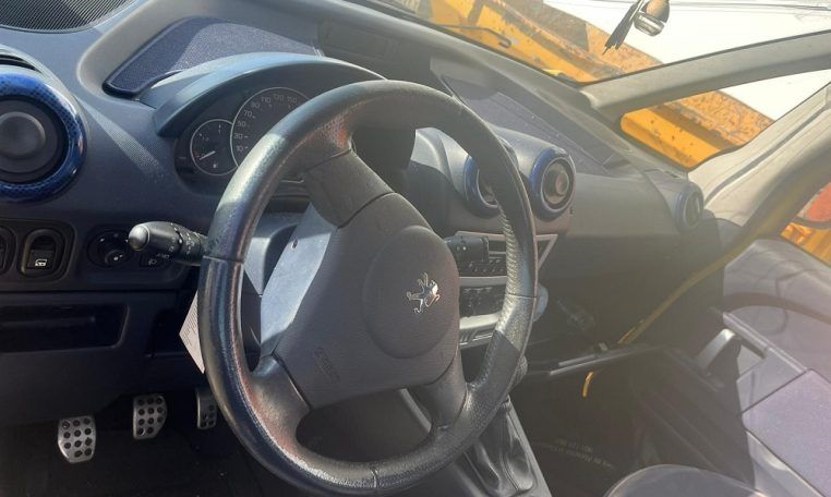 Despiece Peugeot 1007