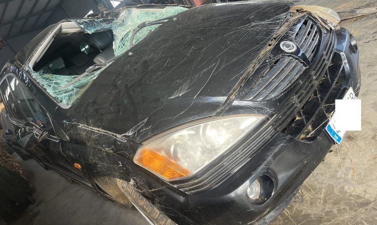 Despiece Ssangyong Kyron