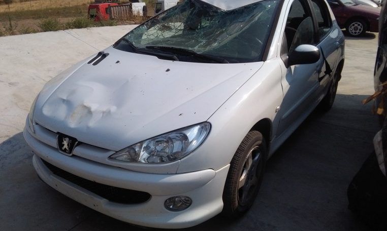 Despiece Peugeot 206 HDI 2008