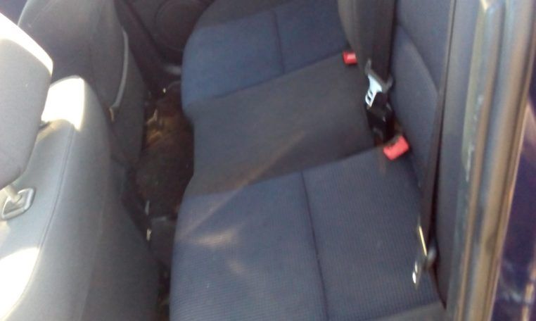 Despiece Mazda 3 1.7D del 2005