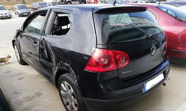 Despiece Volkswagen Golf 1.9TDI del 2006