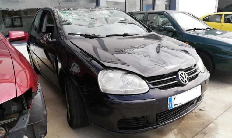 Despiece Volkswagen Golf 1.9TDI del 2006