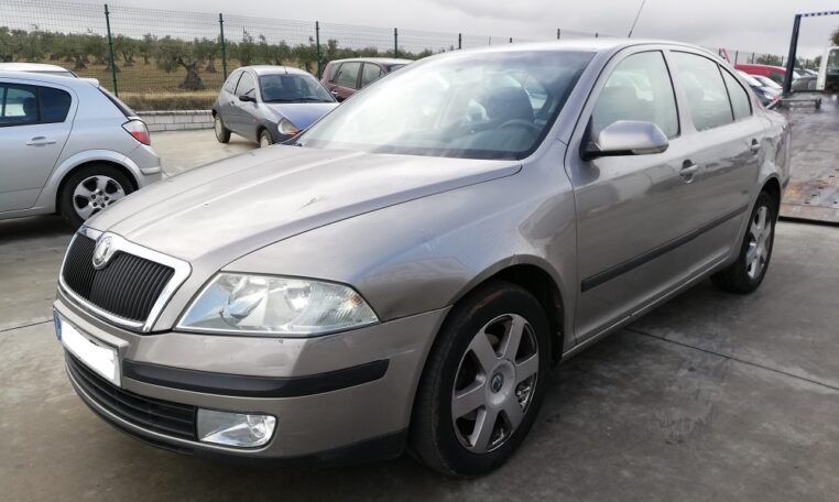 Despiece Skoda Octavia 1.9TDI del 2007