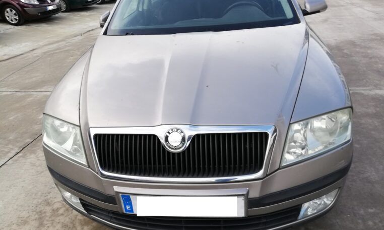 Despiece Skoda Octavia 1.9TDI del 2007