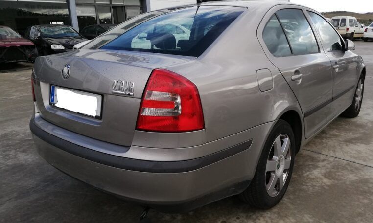 Despiece Skoda Octavia 1.9TDI del 2007