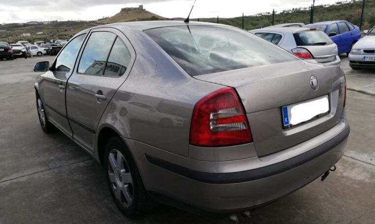 Despiece Skoda Octavia 1.9TDI del 2007