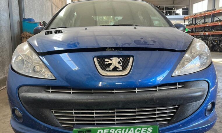 Despiece Peugeot 206