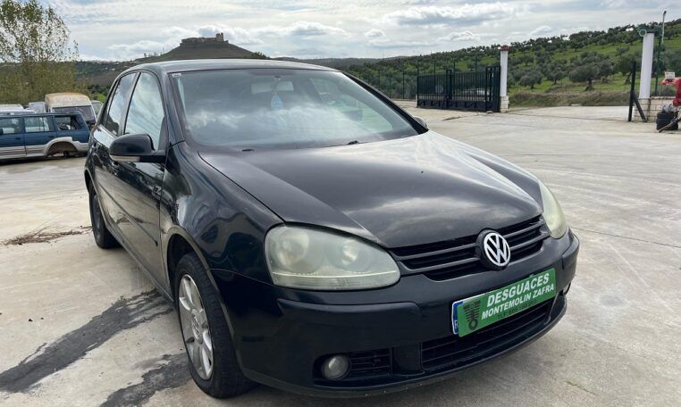 Despiece Volkswagen Golf V 1.9TDI