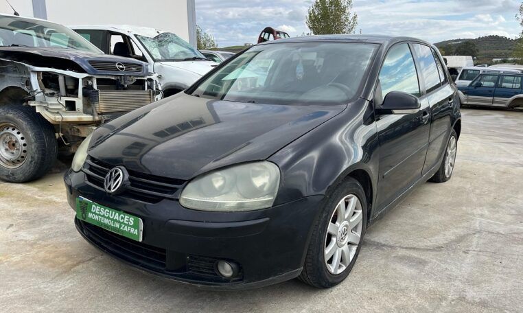 Despiece Volkswagen Golf V 1.9TDI
