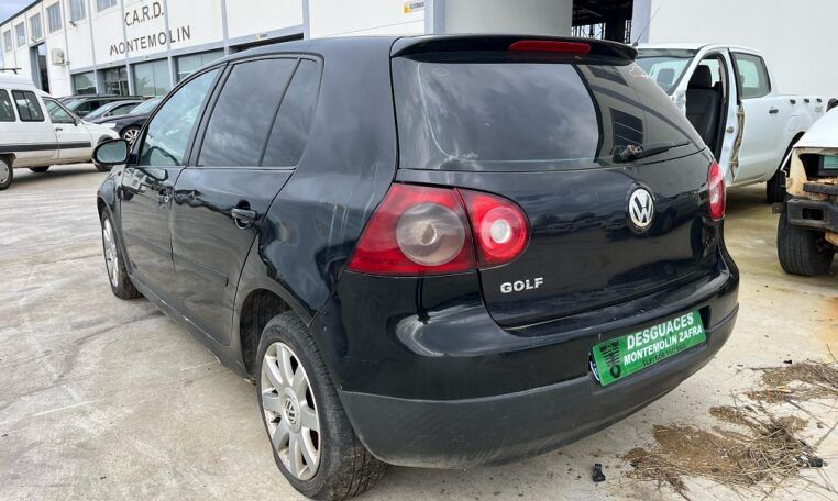 Despiece Volkswagen Golf V 1.9TDI