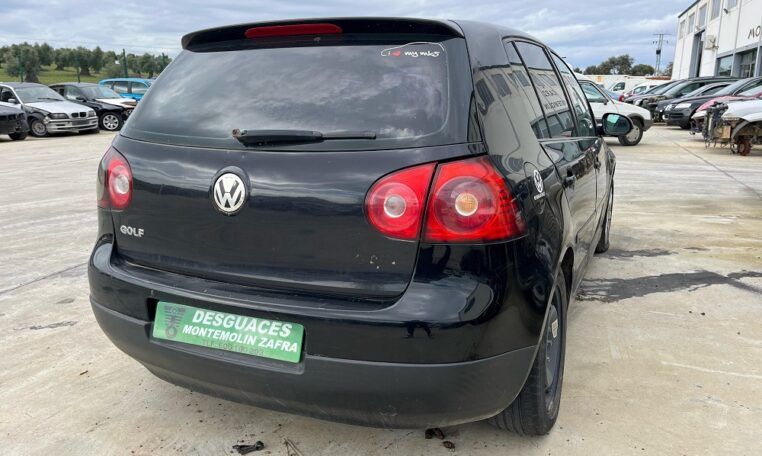 Despiece Volkswagen Golf V 1.9TDI