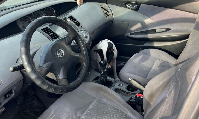 Despiece Nissan Primera P12