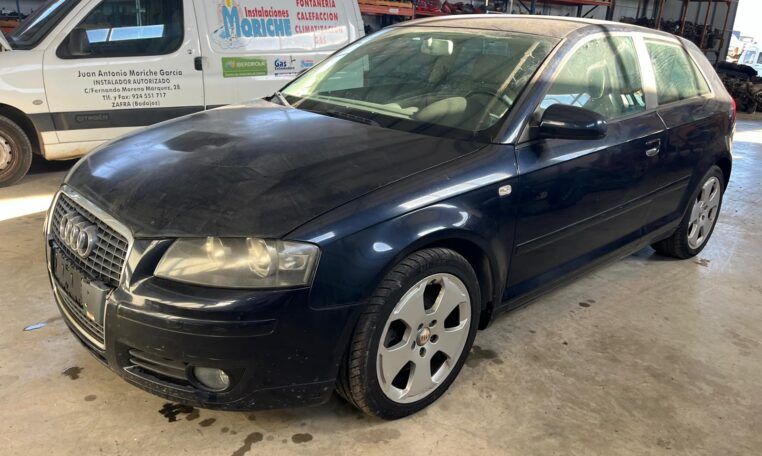 Despiece Audi A3 8P1 2.0 TDI