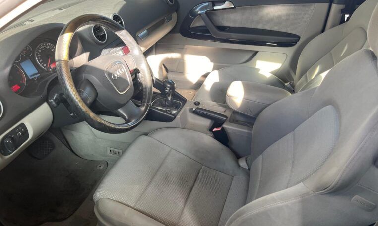 Despiece Audi A3 8P1 2.0 TDI