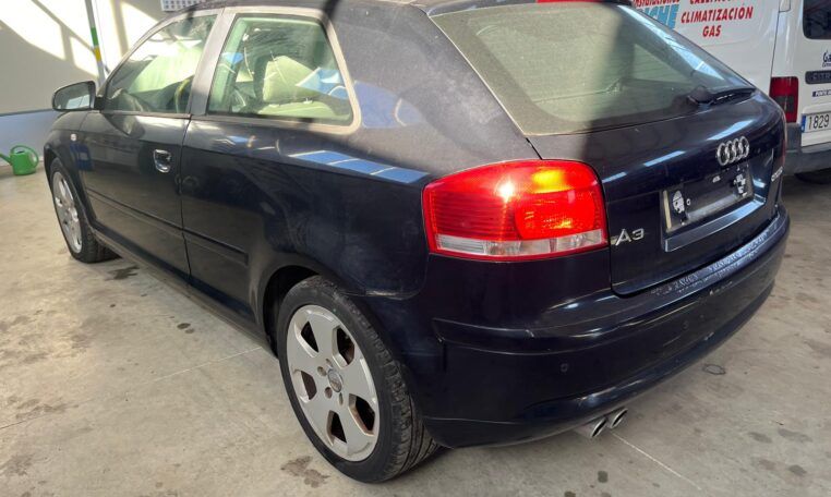 Despiece Audi A3 8P1 2.0 TDI