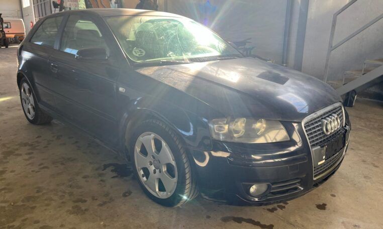 Despiece Audi A3 8P1 2.0 TDI