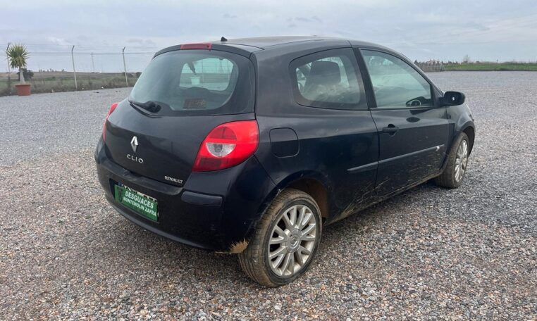 Despiece Renault Clio III 1.4