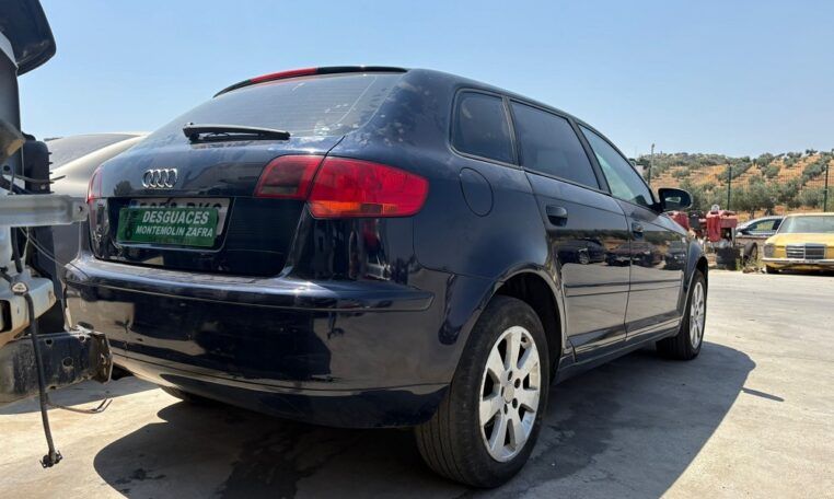 Despiece Audi A3 Sportback (8PA) 2.0 TDI 16V