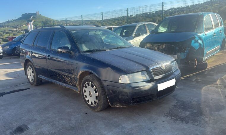 Despiece Skoda Octavia 1.9 TDI