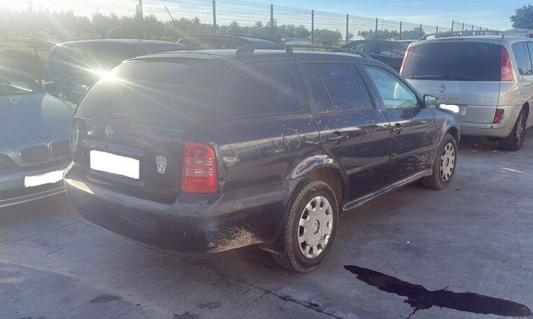 Despiece Skoda Octavia 1.9 TDI