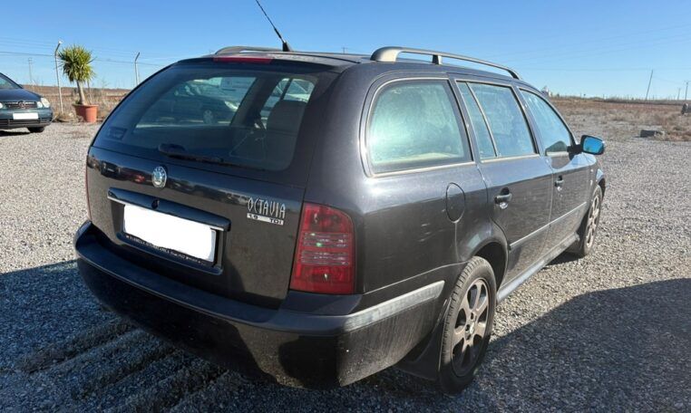 Despiece Skoda Octavia 1.9 TDI
