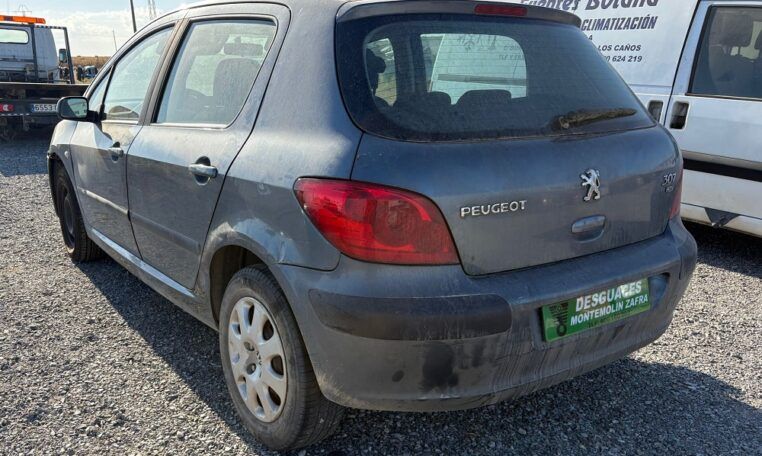 Despiece Peugeot 307 1.6 HDI