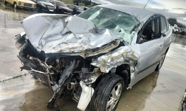 Despiece Seat Cordoba 1.9 TDI